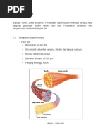 Download Sistem Otot by bitt SN17778689 doc pdf