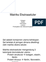 Matriks Ekstraseluler