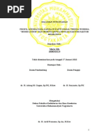 Download KTI profile anemia pada lansia by Maria Ulfa Fa Fa SN177802944 doc pdf
