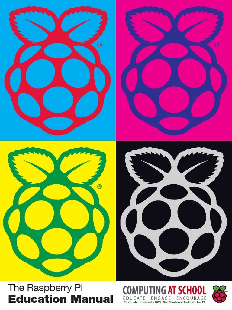 Programming Raspberry PI | PDF