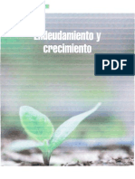 Articulo Dirfin Endeudamiento y Crecimiento