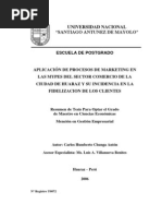 Tesis Unasam 2006 Posgrado Aplicacion de Procesos de Marketin en Mypes