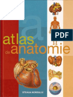 atlas de anatomie lustrat