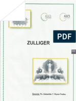 Guía de interpretación y análisis Zulliger 2013