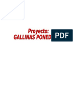 Proyecto de gallinas ponedoras