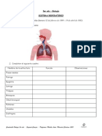 6 - TP Sistema Respiratorio 2013