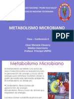 Clase 4 Metabolismo Microbiano.ppt