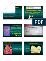 Aula de Diagnostico Doenças Da Polpa e Periapice - Unicsul - 2013 - Brigida