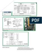 Planta de Sulfonacion