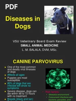 canine parvovirus ppt
