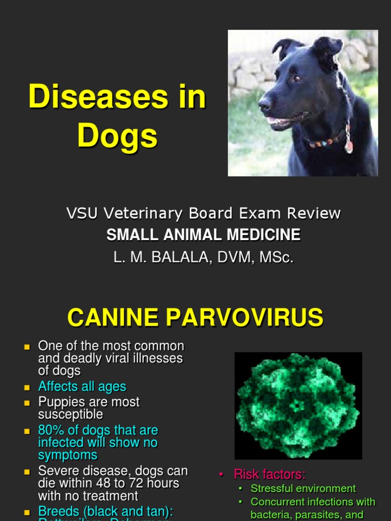 Diseases in dogs.ppt Health Sciences Wellness