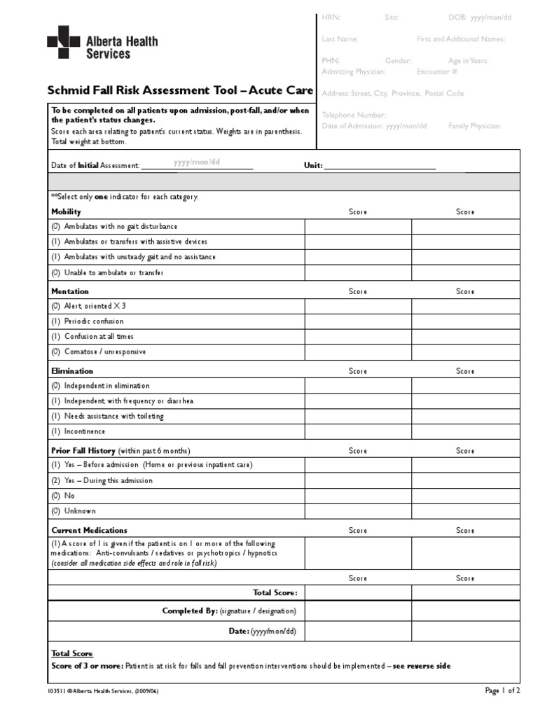 Schmid Score Assessment Tool Patient Health Care