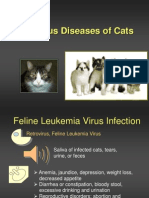 Feline Infectious Diseases Guide