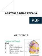 Anatomi Bagian Kepala