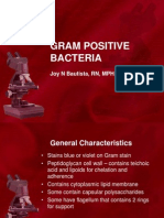 Gram Positive Bacterianew