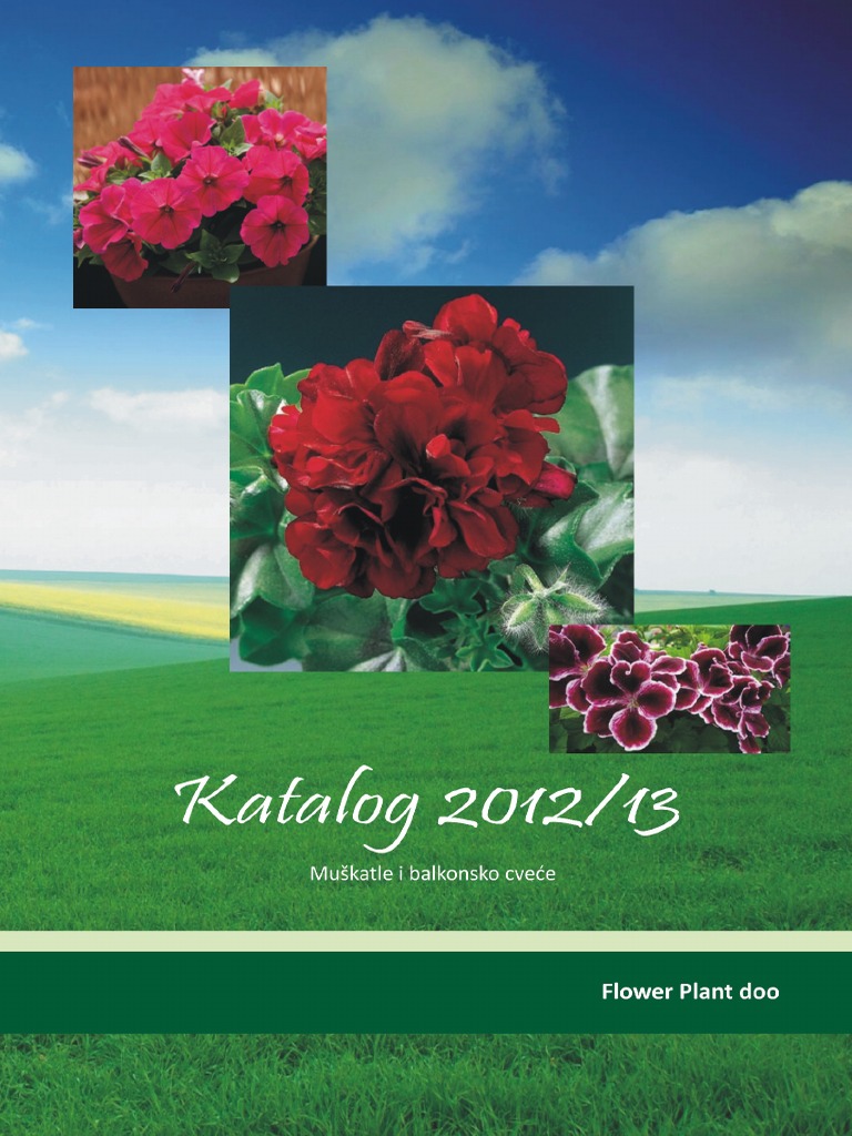katalog-za-muskatle-pdf-pdf