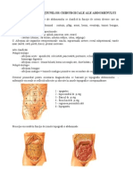 6 - Semiologia Abdomenului