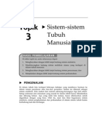 Topik 3 Nota Sistem Endokrin Pencernaan Dan Perkumuhan