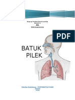 PBL - Batuk Pilek