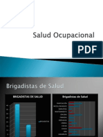 Salud Ocupacional 10-2013