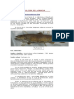 anatomia-091029135227-phpapp02 (1)