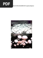 Download BUDIDAYA JAMUR KANCING by Wewen Arwannur SN178114018 doc pdf