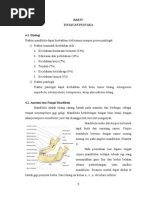 Download fraktur mandibuladoc by Dayoe Thegunners SN178115518 doc pdf