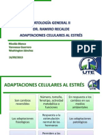 ADAPTACIONES CELULARES - PATOLOGÍA GENERAL II