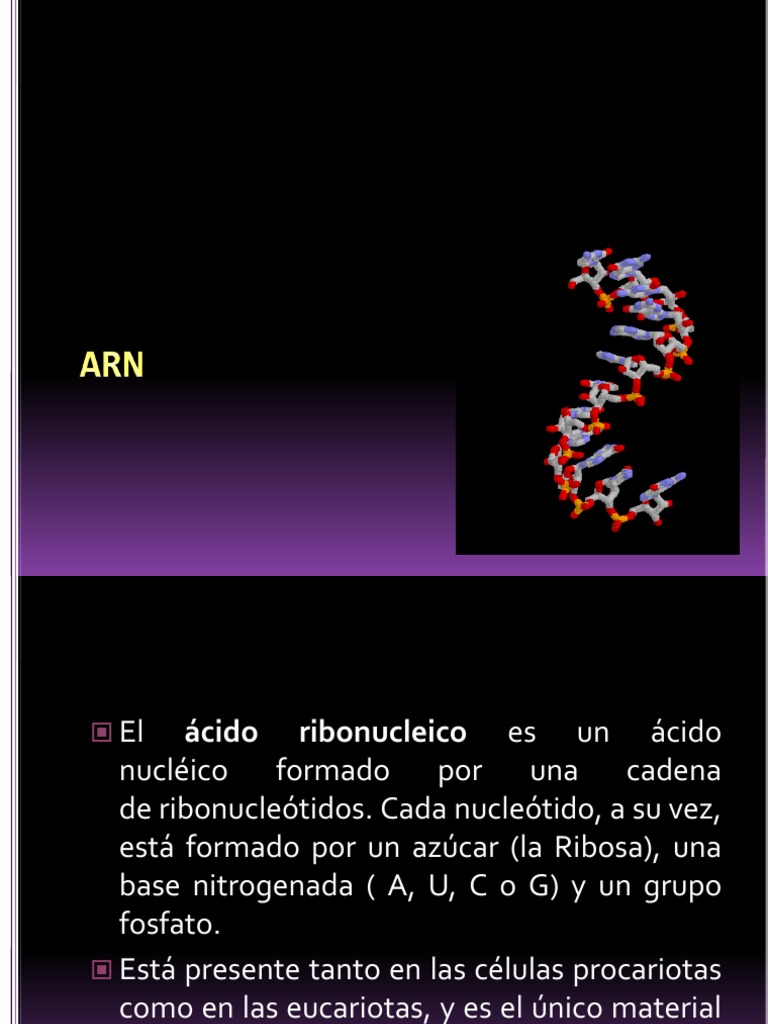 Arn Rna Messenger Rna