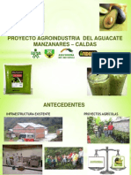 Proyecto Aguacate