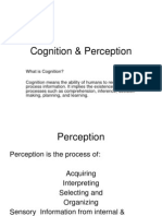 Cognition & Perception (1)