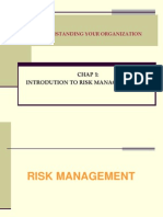 Chap 1- Intro to Risk Management