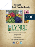 LYNDE - Fall Wholesale