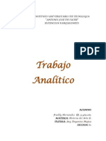 Trabajo Analitico