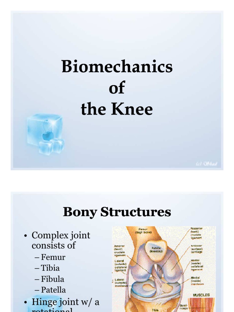 Bio Mechanics of the Knee Knee Anatomical Terms Of Motion