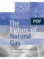 NaturalGas ExecutiveSummary (MIT)