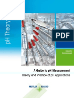 pH Theory Guide