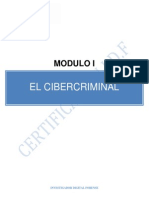 El Cibercriminal