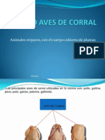 6 GRUPO AVES DE CORRAL - PPSX