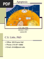 52 - Apoptosis (CSL)