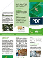 Triptico Moscas Nativas Fruta Z.H PDF