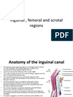 Inguinal and Femoral Region