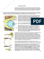 Anexo 7 Capsula de Tenon