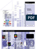 triptico computacion