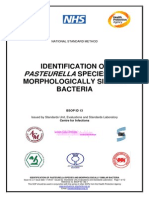 IDENTIFY PASTEURELLA AND SIMILAR BACTERIA