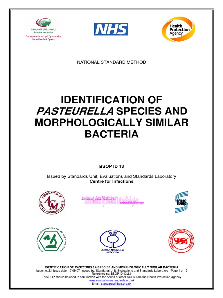 Pasteurella Identification of Species and Morphologically Similar