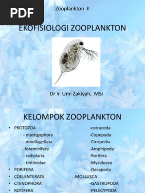 Zooplankton Sesi Ii Rev Ppt Marine Biology Oceanography