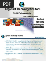 SYNON Tutorial: Extracted From CA 2E Tutorial r8.5 | PDF | Data Model ...