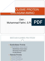 Metabolisme Protein 2012