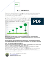 Brochure Paulownia Invest